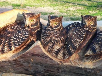 Wood Carved Statues