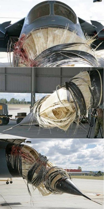 Birds and Planes