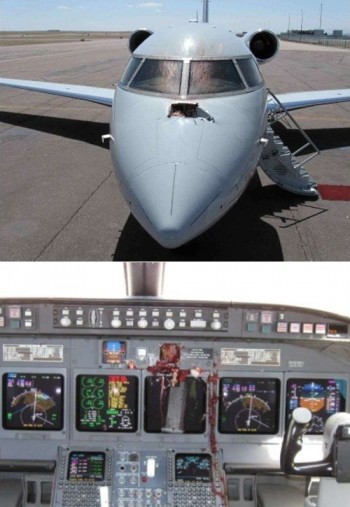 Birds and Planes