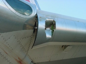 Birds and Planes