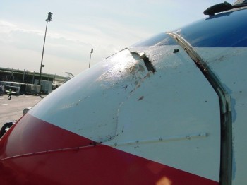 Birds and Planes