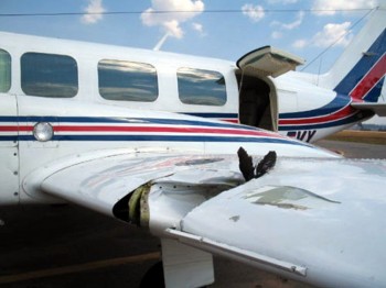 Birds and Planes