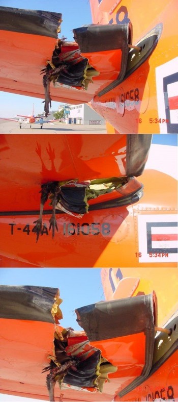Birds and Planes