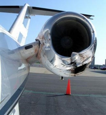 Birds and Planes