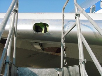 Birds and Planes