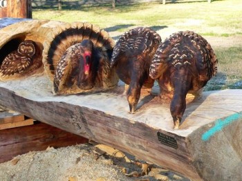 Wood Carved Statues