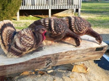 Wood Carved Statues