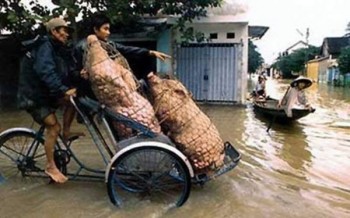 Improvised Transport