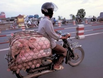 Improvised Transport
