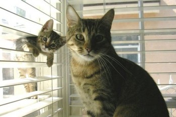 Watching You