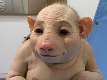 Swineflu Baby