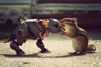 Gimme That!