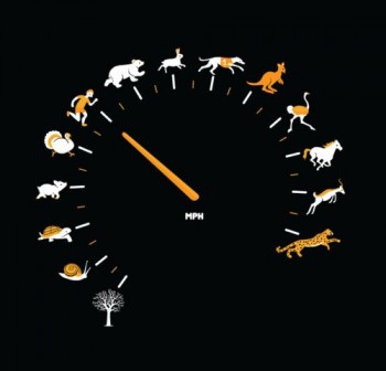 Icon Speedometer
