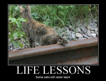 Life Lessons