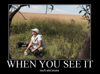 When You See It