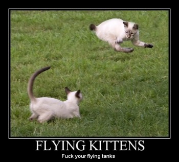 Flying Kittens