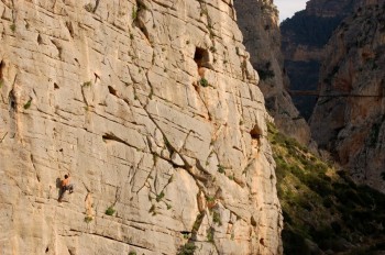 No Rope Climber