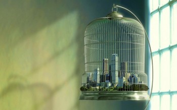 Caged City