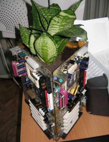 Motherboard Plant Pot