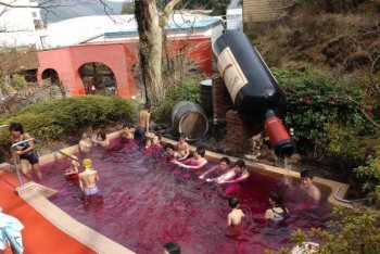 Japanese Spa Industry