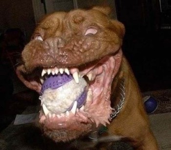 Scary Om Nom Nom