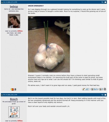 Onion Emergency