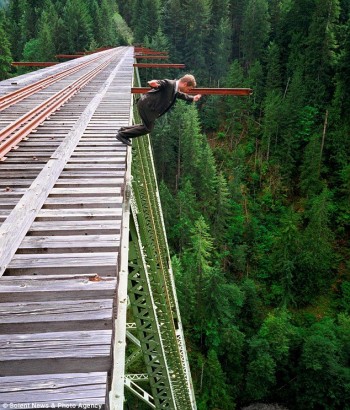 Falling - Off A Bridge
