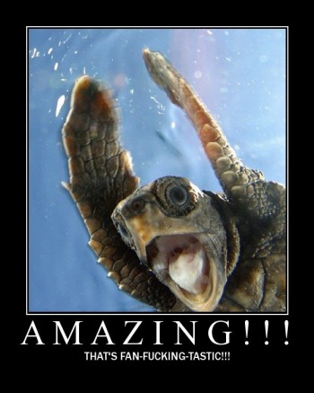 Amazing!!!