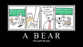 A Bear