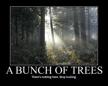 A Bunch of Trees
