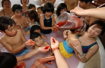 Japanese Spa Industry