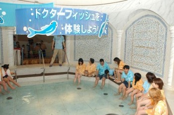 Japanese Spa Industry