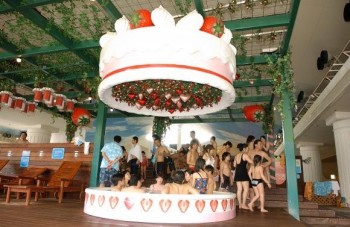 Japanese Spa Industry