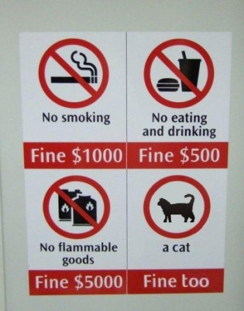 Fine $1000
