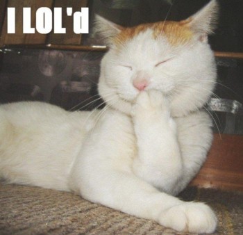 I Lol'd
