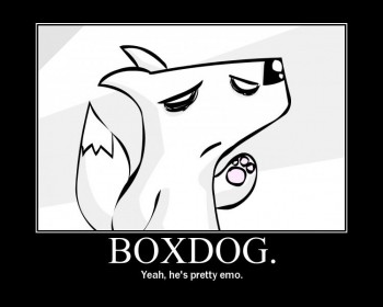 Boxdog