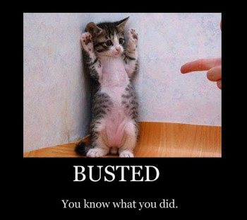 Busted