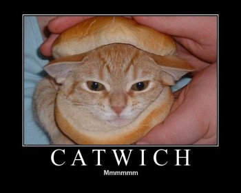 Catwich