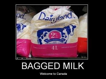 Bagged Milk