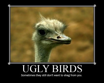 Ugly Birds