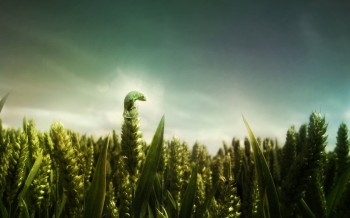Creature In The Field