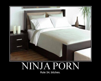 Ninja Porn