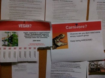 Vegan? Carnivore?