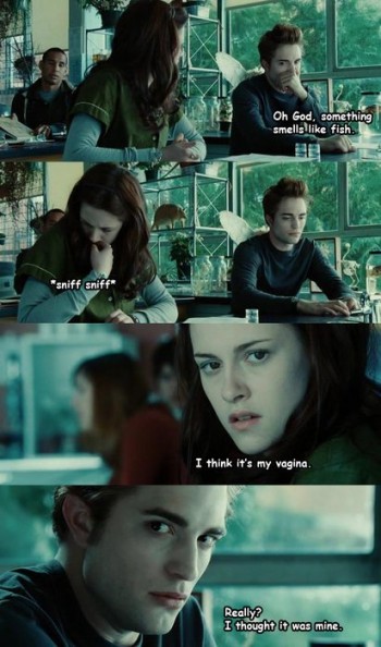 Twilight Explained In Four Frames