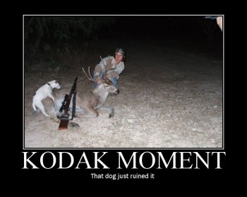 Kodak Moment