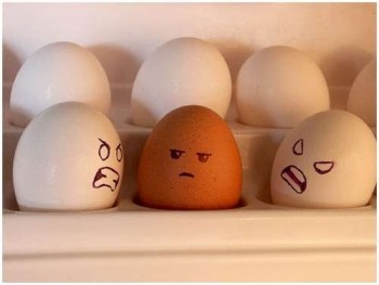 Angry Racist Eggs