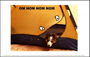 Om Nom Nom Nom Tent
