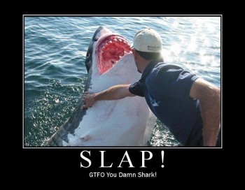 Slap!