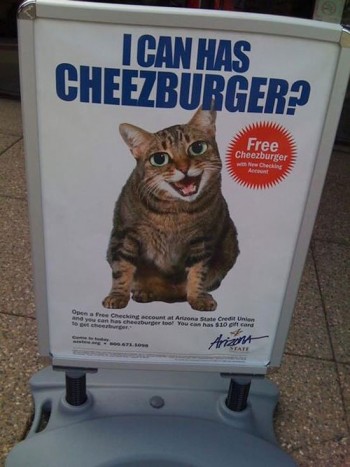 I Can Has Cheeseburger?
