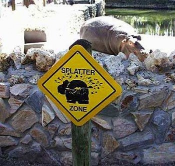 Splatter Zone